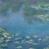 Water Lilies