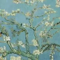 Branches with Almond Blossom