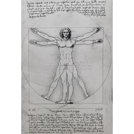 Vitruvian Man, Study of proportions, from Vitruvius’s De Architectura