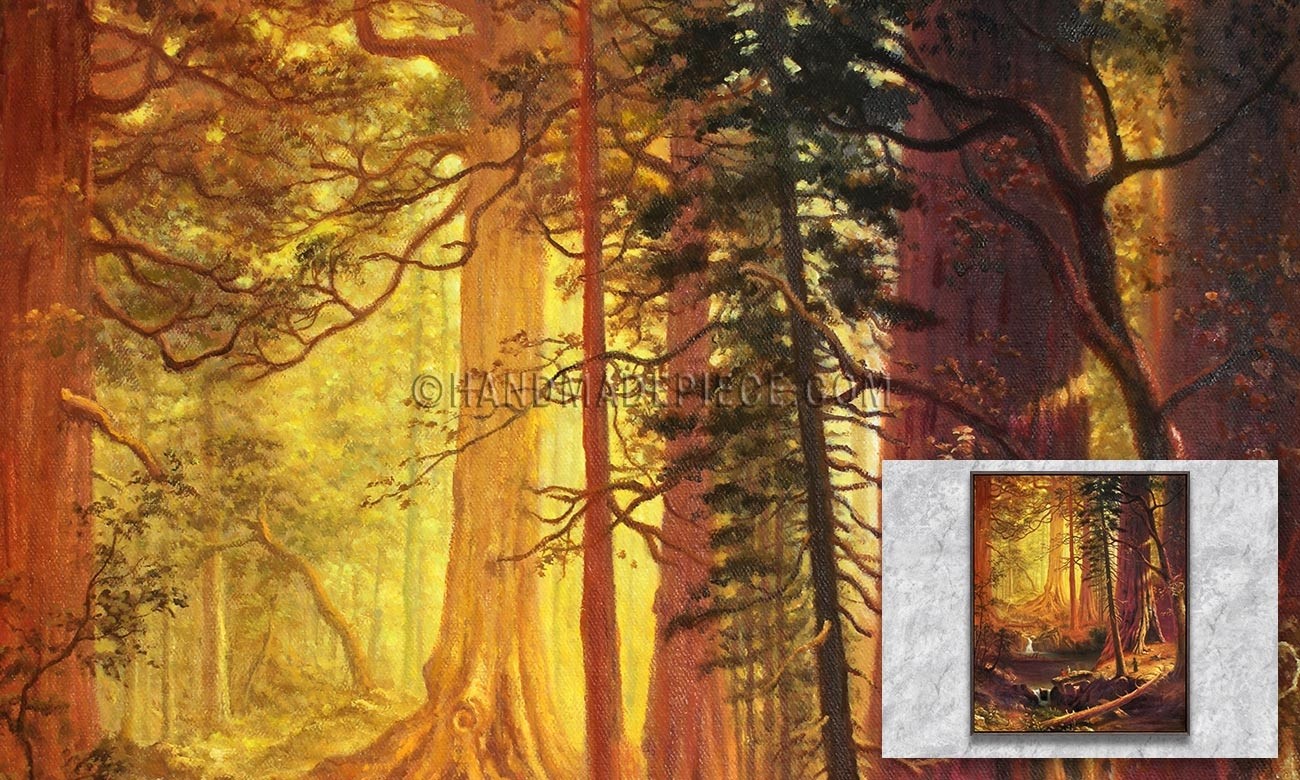 Giant Redwood Trees of California